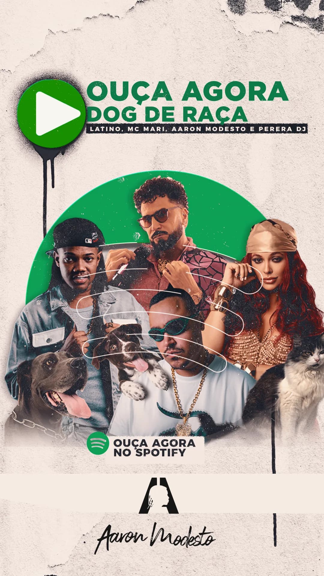Latino · Dog de Raça, imagem 2 de 9