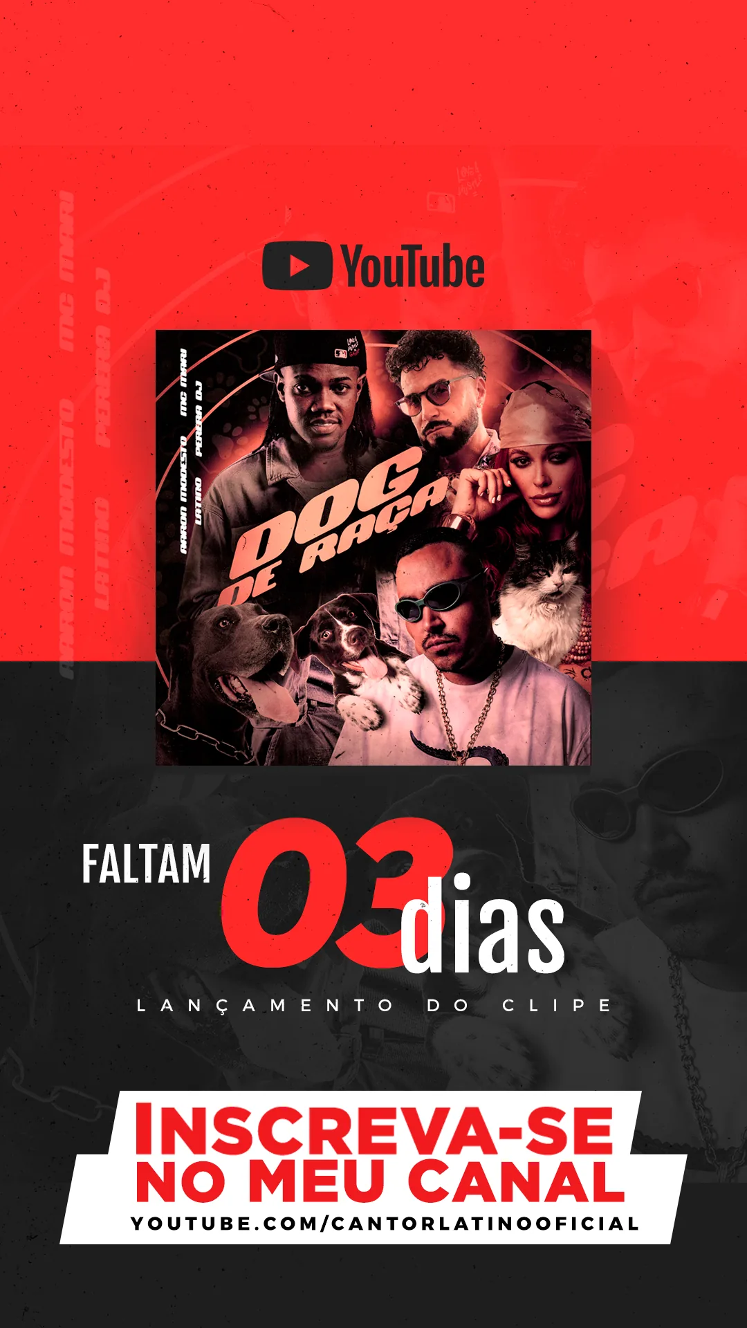 Latino · Dog de Raça, imagem 4 de 9