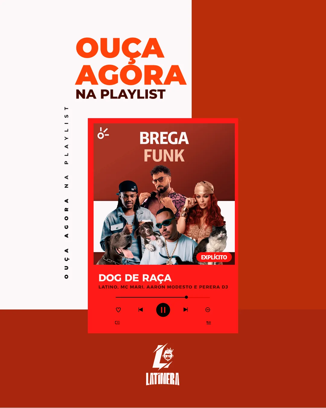 Latino · Dog de Raça, imagem 6 de 9